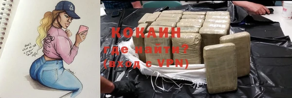 индика Баксан