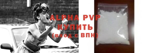 индика Баксан