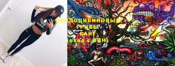 индика Баксан