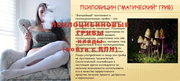 кокс Балабаново