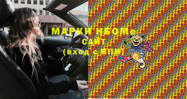 индика Баксан