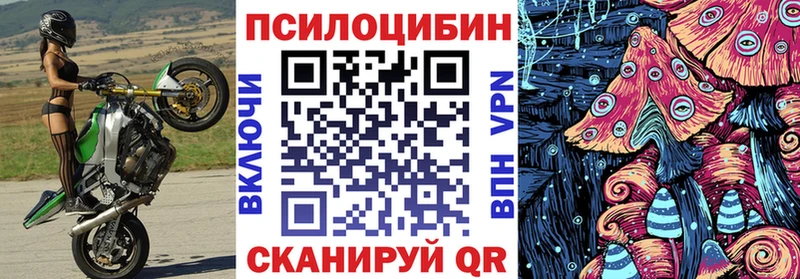 закладка  Котовск  Галлюциногенные грибы Psilocybine cubensis 