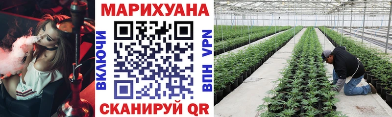 Марихуана Bruce Banner  Котовск 